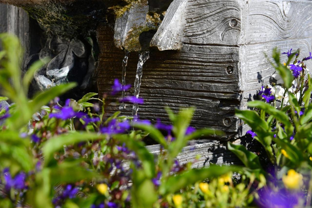 Landhotel Jungbrunnen Бад Брамбах Екстериор снимка